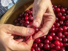 Zawsze robię to wiosną i mam więcej owoców. Większość osób zapomina