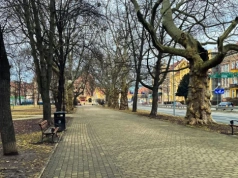 Przymrozki w powiecie legnickim - ostrzeżenie meteo