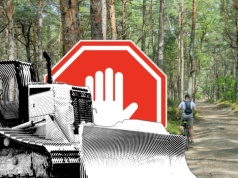 Polska wyznacza tereny starolasów. Mają zatrzymać buldożery deweloperów