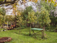 Jak zadbać o ogród podczas przymrozków? Tego nie rób, bo stracisz rośliny! Oto najczęstsze błędy