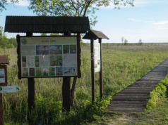 Turyści z Mazowsza utknęli na bagnach. Dramatyczna akcja ratunkowa