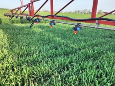 Straty w oprysku? Sprawdź wysokość belki opryskiwacza