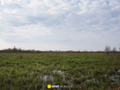 Turyści zgubili się na bagnach Biebrzy. Eksperci: tutaj błądzą doświadczeni wędrowcy