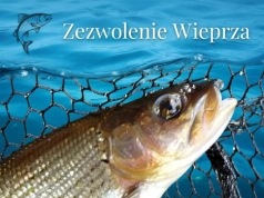 Zezwolenie rzeka Wieprza