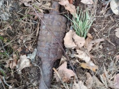 Częstochowa. W lesie znaleziono niewybuch. Na miejscu pracują służby