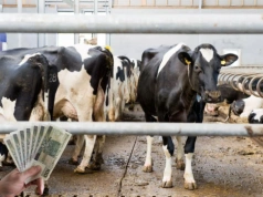 Dobrostan zwierząt 2025: kiedy ruszą wypłaty? Wszystko zależy od rozporządzenia