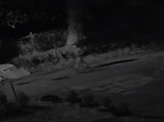 Podpalacz w Jeleniej Górze. Kamery uchwyciły jak podpalił śmietnik przy Poznańskiej