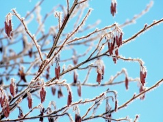 Zima przypomina o sobie w kwietniu. Nawet -6°C przy gruncie na Podkarpaciu