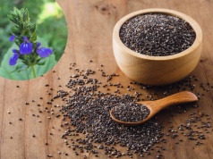 Nasiona chia (szałwia hiszpańska) – właściwości i zastosowanie