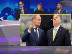 Poseł PiS porównał Tuska do Orbana. "Dużo większa godność i honor"