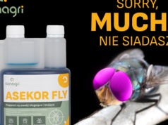 Źródło problemu i jego wpływ na parametry produkcji. Muchy w gospodarstwie – niewielki problem czy miliony nieproszonych gości?