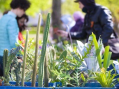Nowe targi ogrodnicze już w maju. Rośliny, rękodzieło i lokalne produkty w jednym miejscu