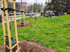 Racibórz stawia na nowoczesną pielęgnację zieleni