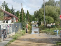 Narasta problem z ulewami. Żeby się przed nimi chronić, Katowice zainwestują w deszczówkę