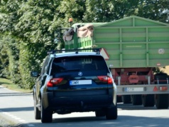 Czy można wyprzedzić traktor na ciągłej linii? Wyjaśniamy przepisy