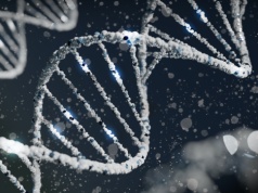 Skąd się wzięli mieszkańcy Ameryki? Badania DNA ujawniły populację duchów z Azji