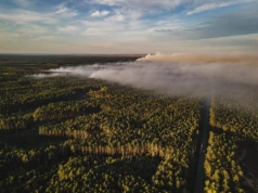 Nadleśnictwo Józefów. Pożar lasów. Katastrofa samolotu gaśniczego. Nie żyje pilot