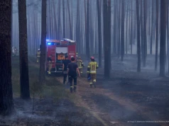 Koniec akcji gaśniczej w Puszczy Solskiej. Spłonęło kilkaset hektarów lasu
