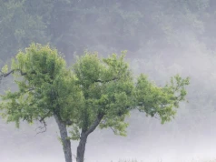 Najpierw rachunek strat, później pomoc. "Spadek temperatur był rekordowy"