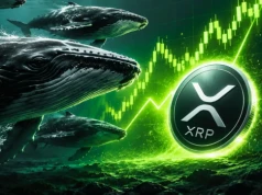 Wieloryby gromadzą rekordową ilość XRP. Na co się szykują?