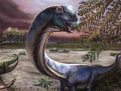 Zdumiewające odkrycie w Azji. Rozmiary tego dinozaura są poza skalą