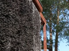 Krasne stawia na rekreację. Rusza przetarg na tężnię i nowy park wypoczynku
