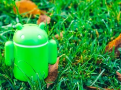 Producent wstrzymuje aktualizację Androida. Ma ważny powód