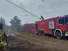 Powiat wołomiński. Blisko 1300 strażaków walczy z pożarem lasu