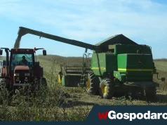 Nie będzie interwencyjnego skupu zbóż