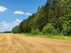 Nowe wsparcie z WPR wystartowało. Rolnicy mogą dostać pieniądze na lasy i zadrzewienia