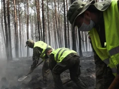 Terytorialsi z Siedlec ruszyli do walki z pożarami. W akcji blisko 100 żołnierzy