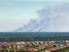 Dym, który atakuje mózg. Pożary lasów groźniejsze niż miejski smog