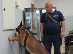 Policjant z Legnicy na podium dolnośląskich eliminacji do Kynologicznych Mistrzostw Policji