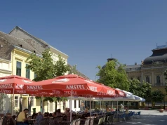 Tu produkowane jest wino, które gościło na europejskich dworach. "Mała Toskania Serbii" zachwyca o każdej porze roku