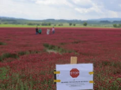 Pole pod Tatrami podbiło sieć. Właściciel ma dość turystów. "Ta choroba ma swoją nazwę"