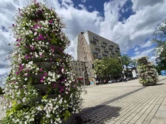 Kolorowa metamorfoza centrum Częstochowy. Ponad 2200 nowych roślin ozdobiło miasto