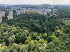 Ten park w Krakowie bardziej przypomina las niż miejski skwer. Zdjęcia z lotu ptaka