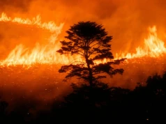 Pacyfik grzeje się o 6°C powyżej normy. Uderzenie El Niño spowoduje chaos