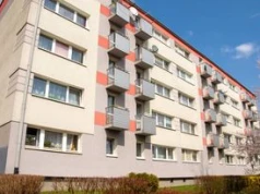 Bat na dzikich lokatorów? Właściciel zgłosi, nałożą grzywnę