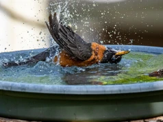 El Niño wraca? WMO ostrzega przed zmianą pogody na świecie