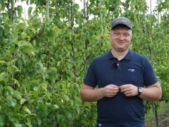 Grusza nie wybacza błędów. Dlaczego profilaktyka staje się kluczem?