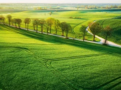 To rolnicza potęga Polski. W tych statystykach Wielkopolska nie ma sobie równych