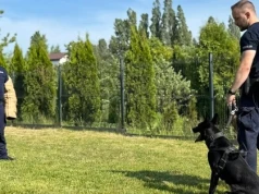 Nowy funkcjonariusz na czterech łapach. Zoja zasiliła słupską policję