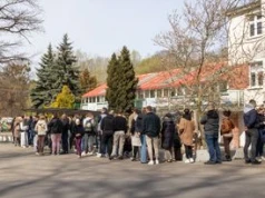W Toruniu znów ustawią się kolejki. Wszystko dla psów ze schroniska