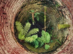 Susza hydrogeologiczna a wody podziemne. Czy grozi nam brak wody?