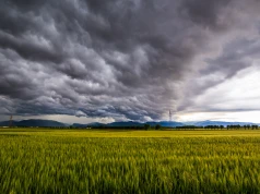 ALERTY 1. i 2. stopnia. Niebezpieczna pogoda nadciąga do Polski