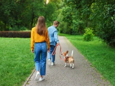 Osiem słów, na które psy reagują natychmiast. Drugie jest bardzo nietypowe