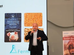 Jak produkować taniej i skuteczniej? Eksperci o przyszłości chowu świń