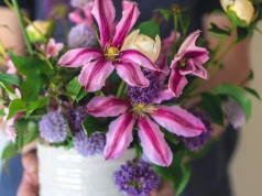 Zamiast sadzić same pelargonie, dodaj to do doniczki. Balkon od razu wygląda pełniej