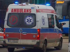 16-latek ukąszony przez żmiję lewantyńską. Chłopiec walczy o życie